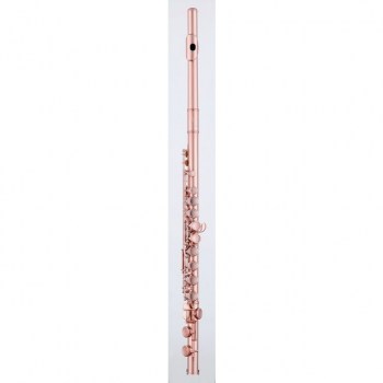 Aidis Flutes 203 B SR Sand Rose Nano Beschichtung купить