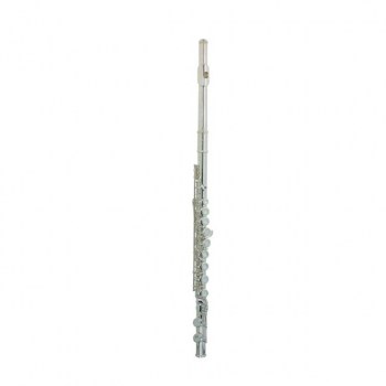 Arnold & Sons AFL-3110 SER Flute Incl. Case and Accessories купить