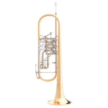 B&S 3005 WTR-L Trompete купить