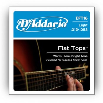 D'Addario A-Guit.Strings EFT16 12-53 Phosphor Bronze Flat Tops купить