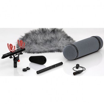 DPA 4017B-R Shotgun Microphone incl. Rycote Windscreen купить