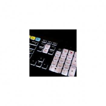 Editors Keys Backlit Keyb Cubase PC DE купить