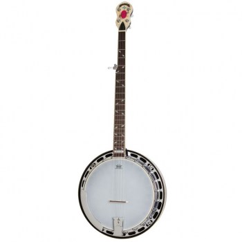 Epiphone Mayfair 5-String Banjo купить