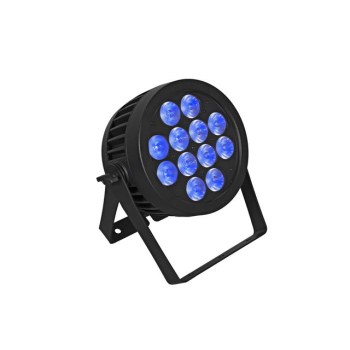 Eurolite LED IP PAR 12x8W QCL Spot купить