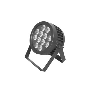 Eurolite LED IP PAR 12x8W QCL Spot купить