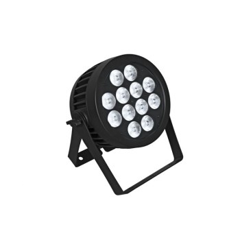 Eurolite LED IP PAR 12x8W QCL Spot купить