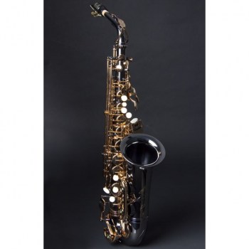 Expression A-302 BG Es Alto Saxophone купить