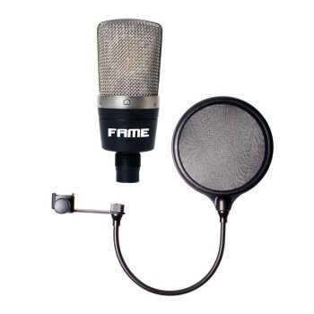 Fame Audio CM2 + Poppfilter - Set купить