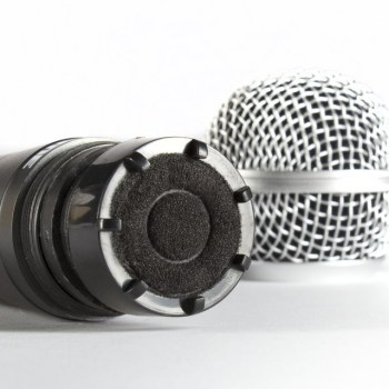 Fame audio MS 58 MKII dynamic Vocalmicrophone купить