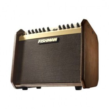 Fishman Loudbox Mini Acoustic Gui tar/ Instrument Amp Combo купить