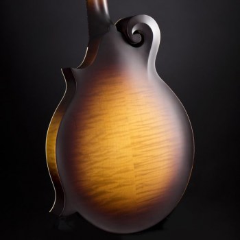 Gibson F-9 Mandolin купить