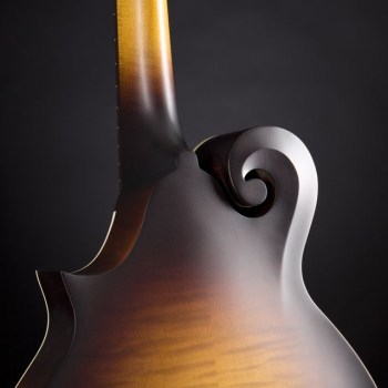 Gibson F-9 Mandolin купить