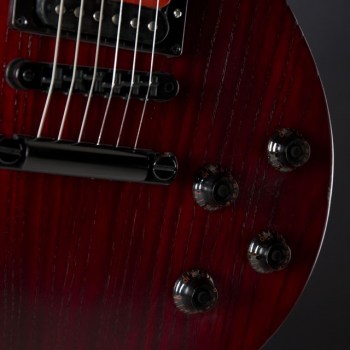 Gibson Les Paul Voodoo JuJu Limited купить