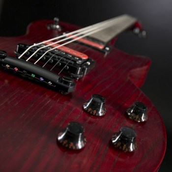 Gibson Les Paul Voodoo JuJu Limited купить