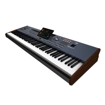 Korg Pa5X 88 Musikant купить