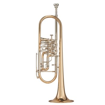 Kühnl &amp- Hoyer Bb-Trompete Modell 6010 G купить