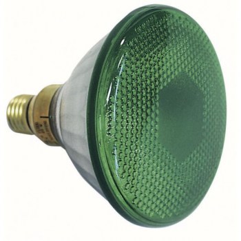 lightmaXX Reflector Lamp E27 Par 38/46 240V/80W Green купить