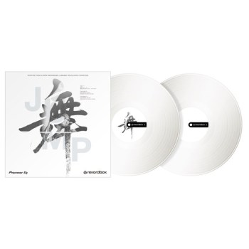 Pioneer DJ Control Vinyl (White) - RB-VD2-W (Pair) купить