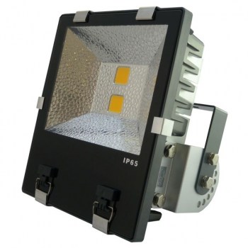 PTL LED Flood PRO 100W warm white IP 65, 2x 50W COB LEDs, 120° купить