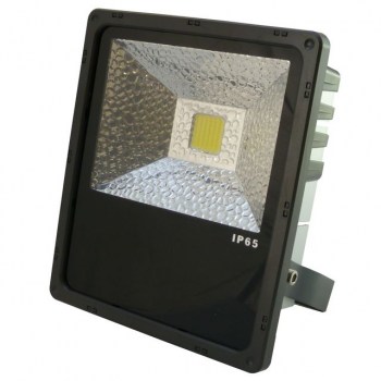 PTL LED Flood PRO 50W warm white IP 65, 50W COB LED, 120° купить