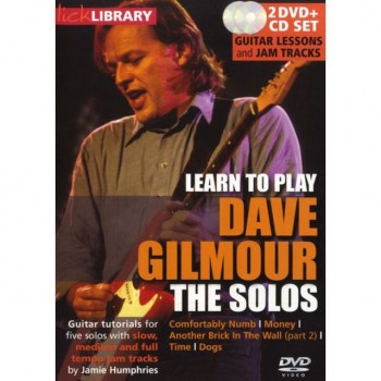 Roadrock International Lick Library: Learn To Play Dave Gilmour - The Solos DVD купить