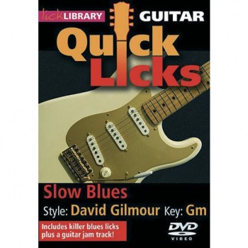 Roadrock International Quick Licks: David Gilmour Slow Blues  Key Of Gm (DVD) купить