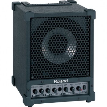 Roland CM-30 Cube Monitor Speaker купить