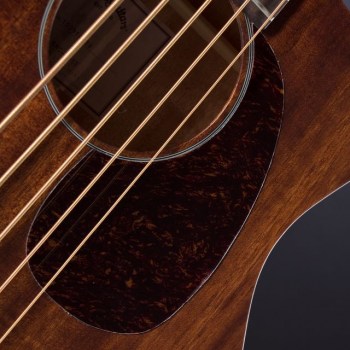 Sigma Guitars BMC-155E Acoustic 5-String Bass купить