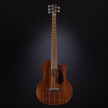 Sigma Guitars BMC-155E Acoustic 5-String Bass купить