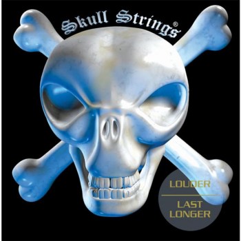 Skull Strings 09-42 Standard Saiten Stainless Steel купить