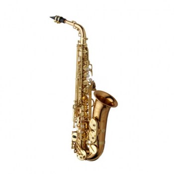 Yanagisawa A-WO 20 Elite Eb-Alt Saxophon lackiert купить