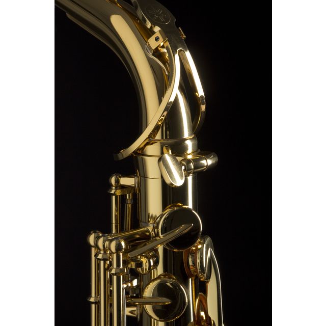 Трофейный саксофон. Yamaha yas-280 Alto Sax. Yas 280 саксофон. Саксофон Ямаха yas 82z. Yamaha yas-280 Alto Sax коробка.